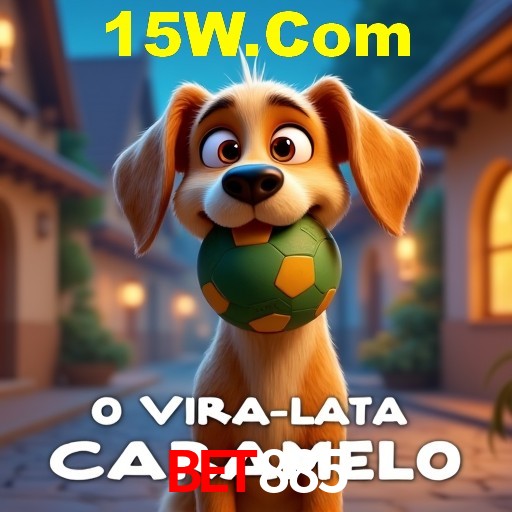 A Experiência Imersiva dos Cassinos Ao Vivo no Bet885
